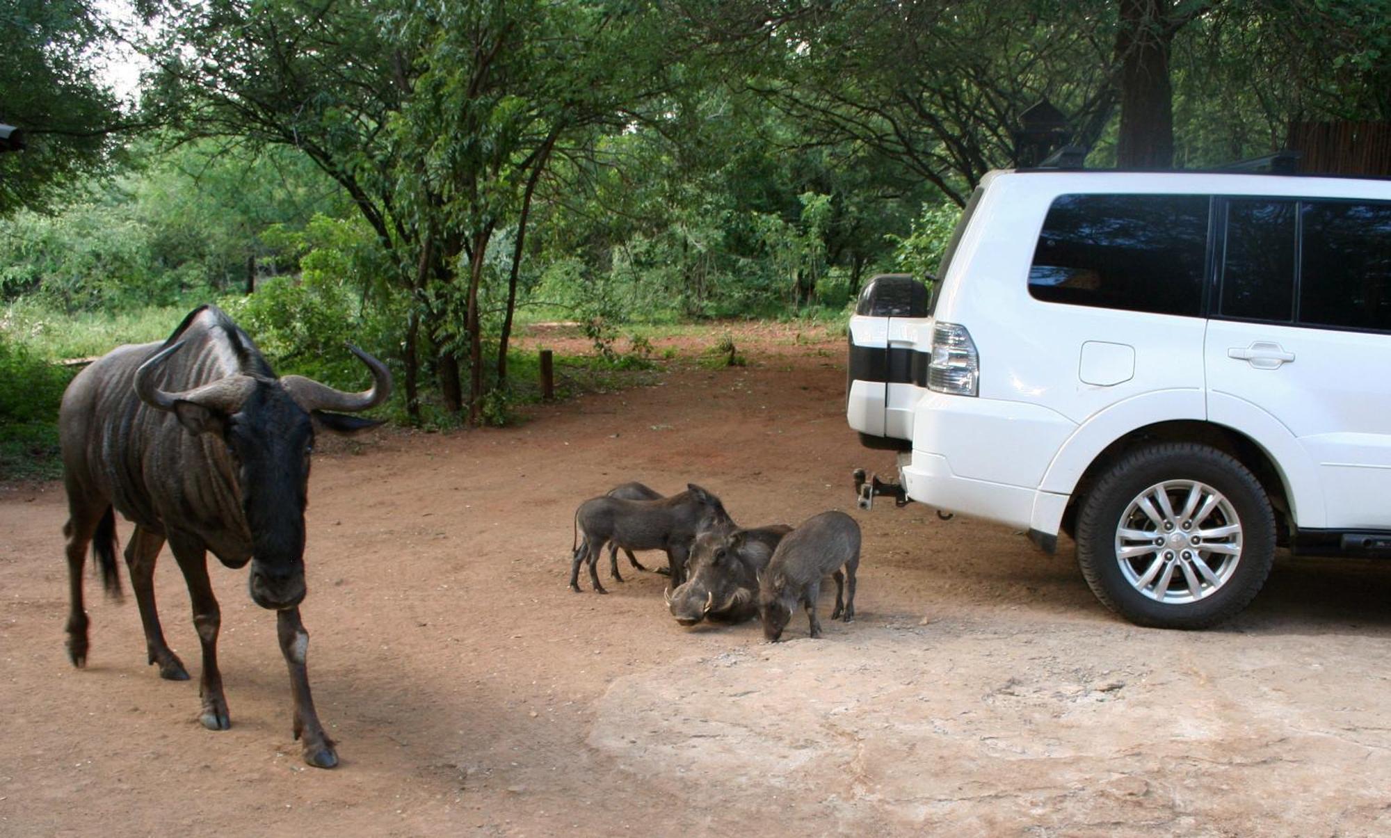 Kiburi Lodge @ Kruger, A Secluded Bushveld Getaway Marloth Park Exterior photo