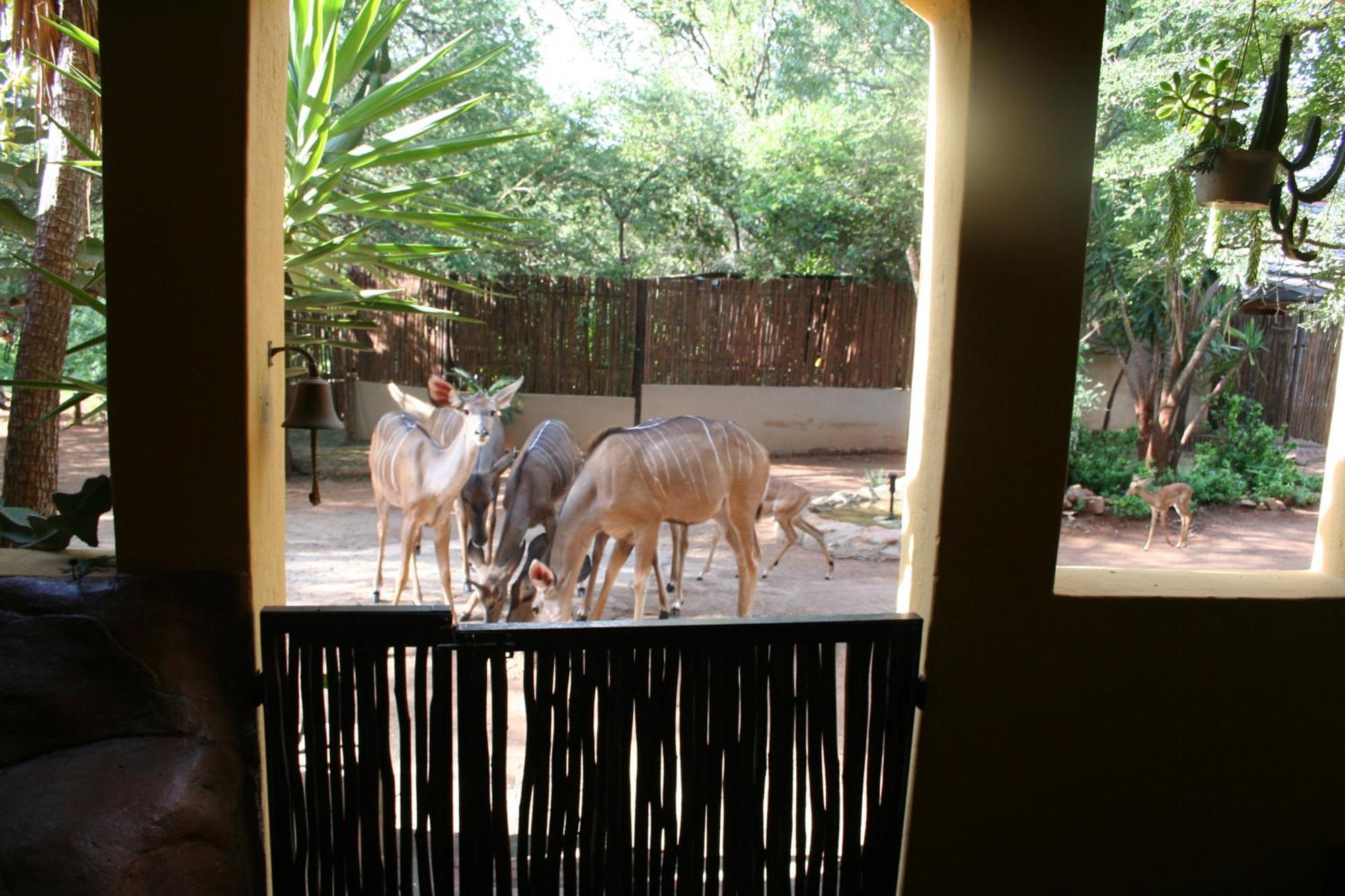 Kiburi Lodge @ Kruger, A Secluded Bushveld Getaway Marloth Park Exterior photo